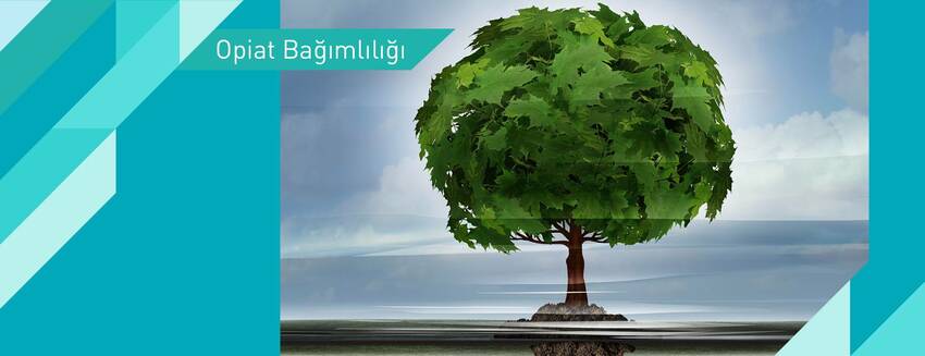 Opiyat Bağımlılığı Tedavisi