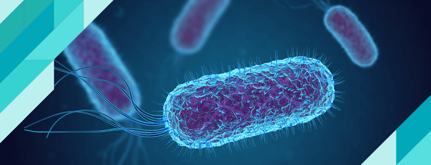 Sepsis (Kan Zehirlenmesi) Nedir?