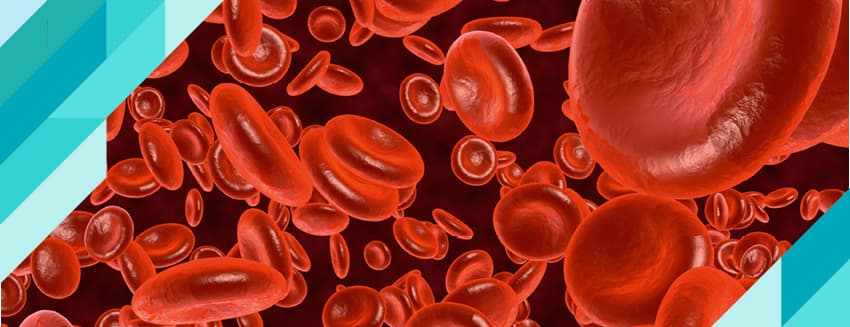 HbA1C Testi Nedir?