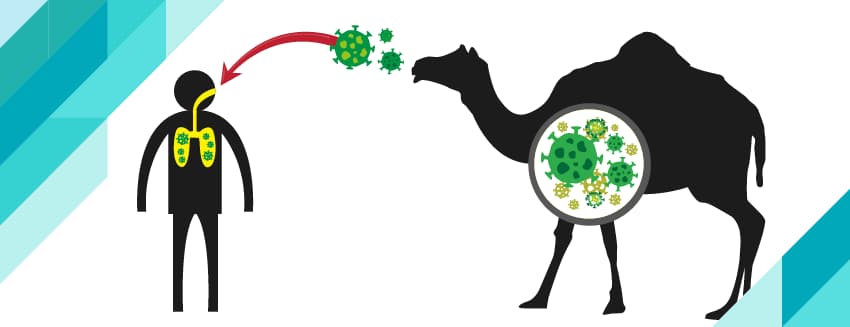 Deve Gribi (MERS)Nedir?