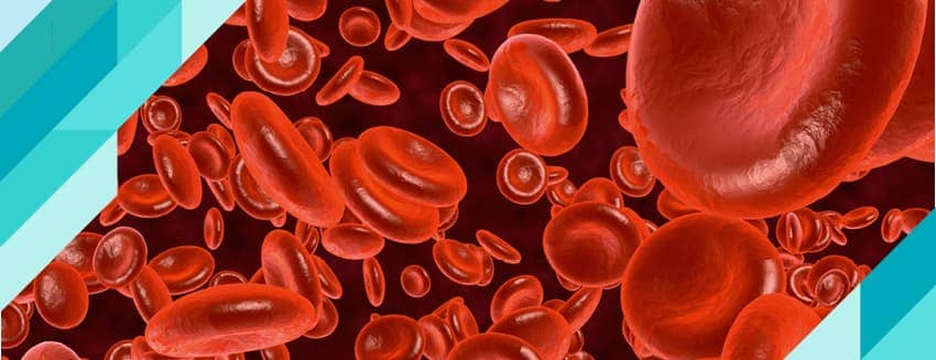 What is the HbA1C Test?