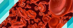 HbA1C Testi Nedir?
